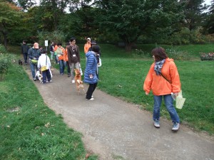 みんなで仲良くお散歩中