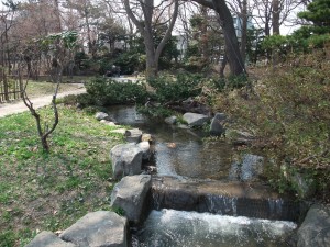 晴の日本庭園 爽やかな風が心地よしです！