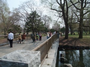 晴の中島公園 園内散策も気持ちいいですね♪
