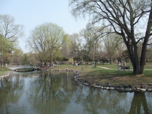 ボートハウスも本日から営業の菖蒲池です