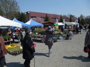 園芸市も多くの皆さんが花木を購入されていましたよ