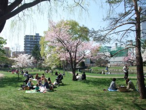 芝生の上では家族でピクニック！！
