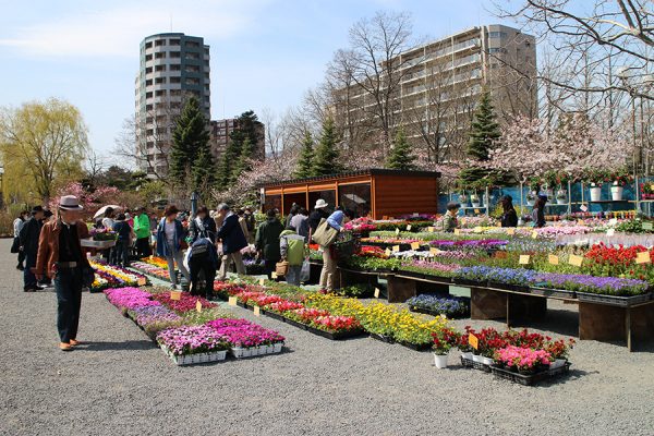 第64回さっぽろ園芸市の様子