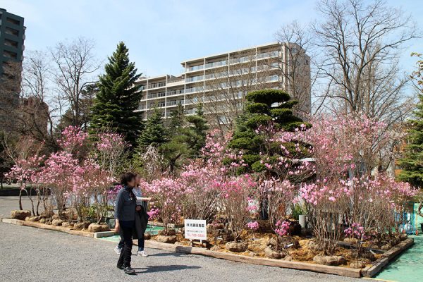 第64回さっぽろ園芸市の様子