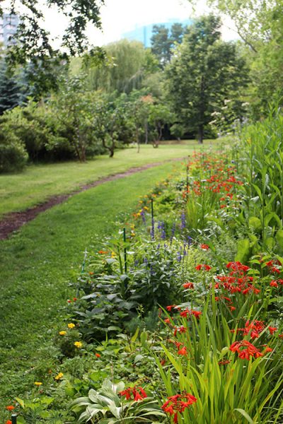 宿根草のボーダー花壇