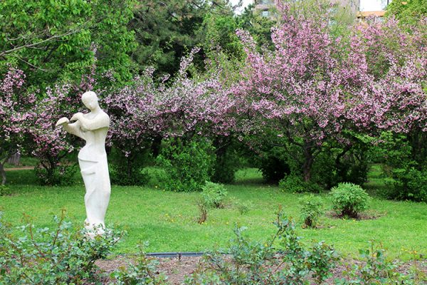 彫刻とハナカイドウ