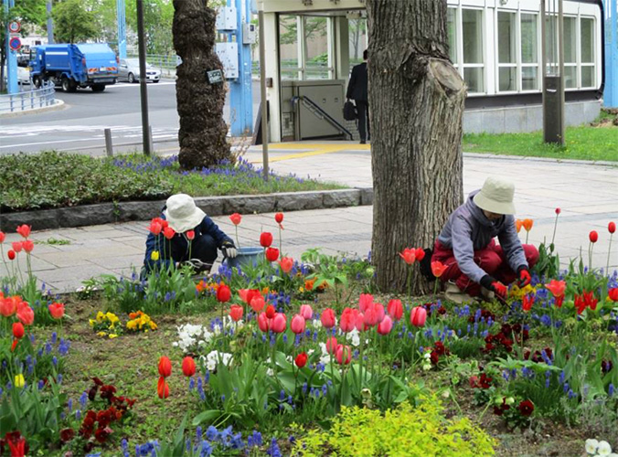 幌平橋花壇のお手入れ