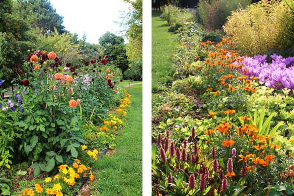香りの広場の花壇