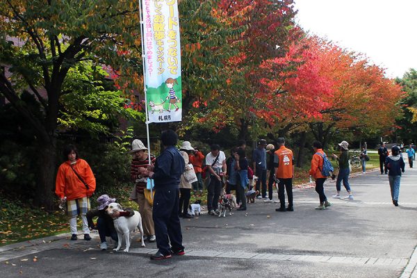 愛犬散歩講座の様子