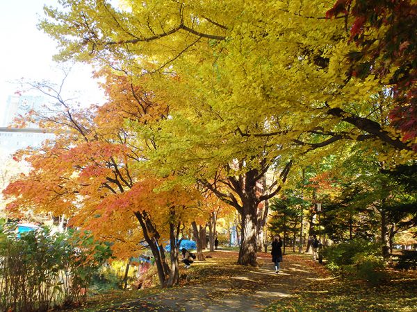ボートハウス近くの紅葉