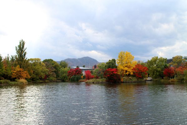昨年（H28）の菖蒲池から見た紅葉の様子