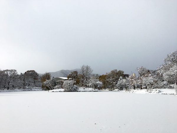 菖蒲池の雪景色