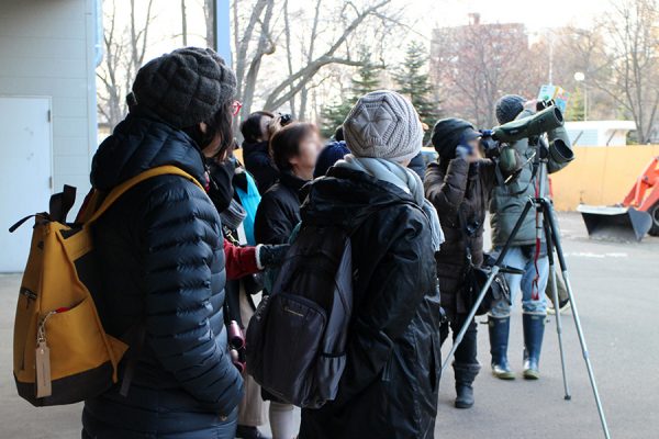 野鳥観察会の様子