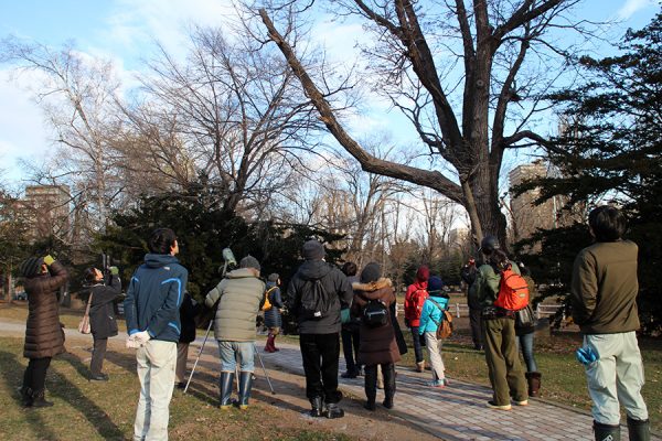 野鳥観察会の様子