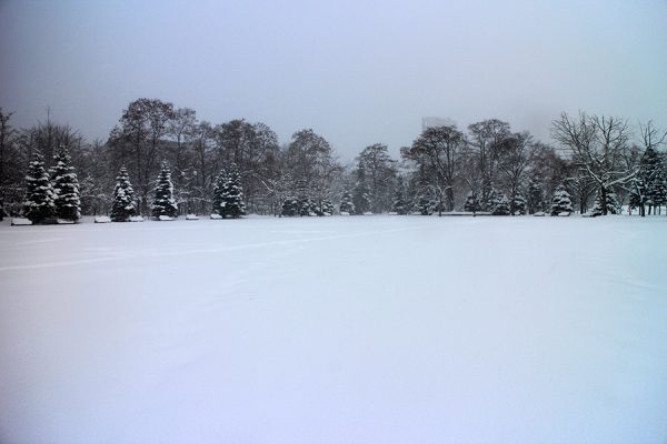 自由広場の雪景色