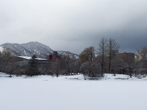 3月16日の菖蒲池の様子1