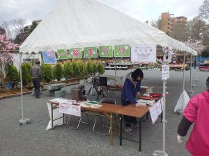 なかじま桜まつり