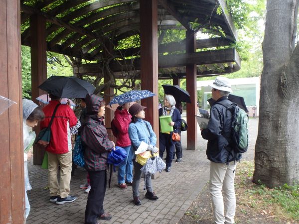 藤棚の下で笠さんの説明を聞く参加者