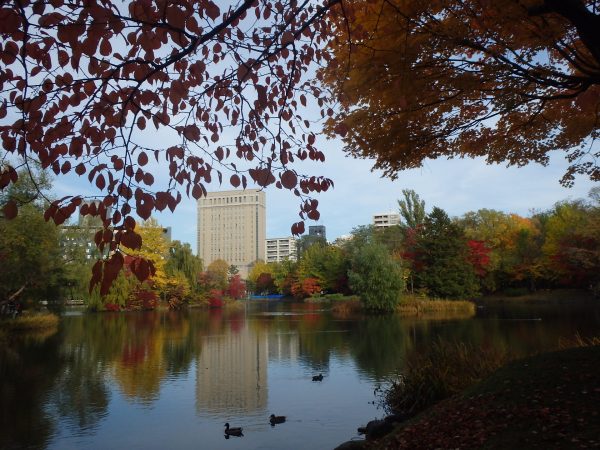 菖蒲池と紅葉した周囲の景色