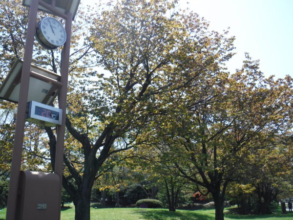 園内に設置された時計と20℃と表示された温度計