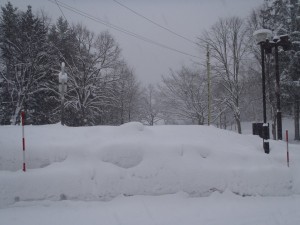 18日の朝の様子