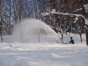 除雪の様子