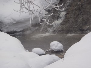 川のほうが暖かいかも