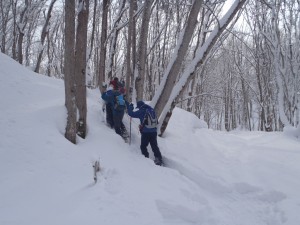 雪が止みました。
