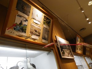 スプーンで作ったトンボ