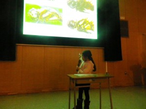 ヤンマ団の発表