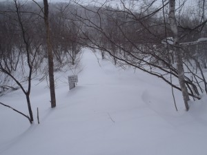 木道はどこに？