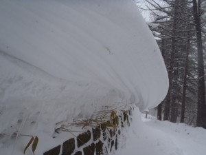キレイな雪庇