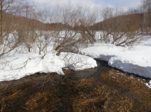 見晴台から水源池を望む