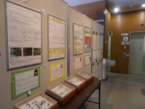 ヤンマ団展示２