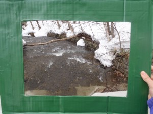 春を感じよう!!