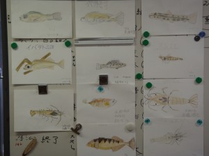 素晴らしい作品達