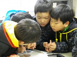 シンケンに観察！