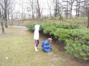 カモフラージュ