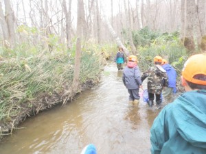 緑生い茂るジャングル川
