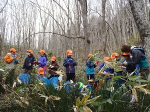 まずは環境調査