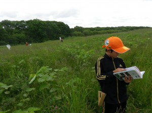 草原を駆ける！