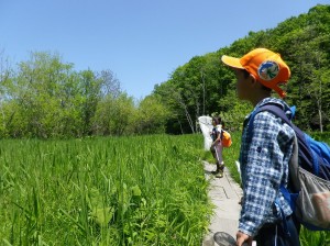 ヨッシーの湿地で狙うのは・・・