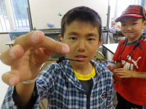 カオジロトンボ