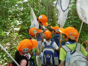 ハエの仲間のレクチャー