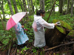 小人のお家づくり