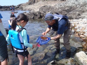 何が捕れたかな？