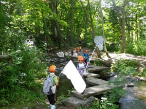 八つ橋ではコオニヤンマ