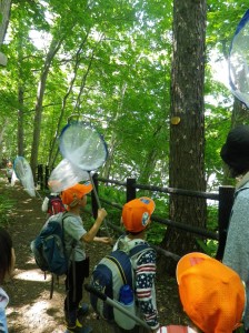 大量のマイマイガ！