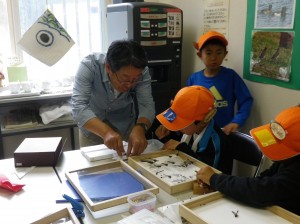 横山先生の標本指導