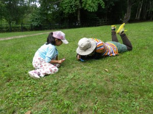 ミクロの気持ちになって・・・